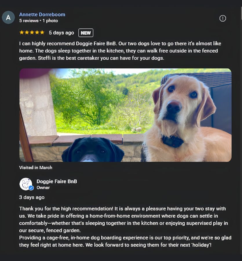 Five-star Google review for Doggie Faire BnB showing two happy dogs — a black Labrador and a golden retriever — relaxing together and looking out over the secure fenced garden. Cage-free in-home dog boarding in the Quercy region, South West France.